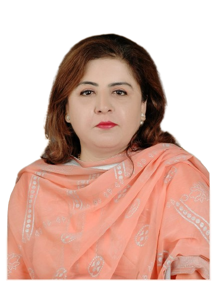 Engr.  Dr. Shazia Feroz, Assistant Professor/Chairperson